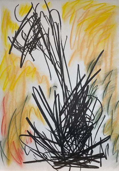 [2023] Untitled, Pastel·Grap...paper ,Size Unknown